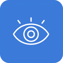 Our Vision