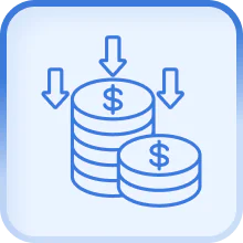 Cost Efficiency